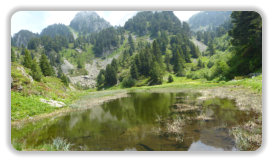 lac des Pourettes