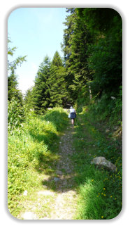 sentier vers le lac Luitel