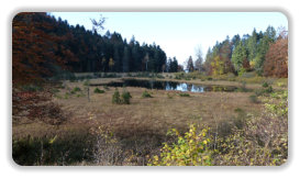 lac Luitel à l'automne