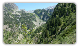 prairie de l'Oursière