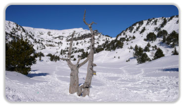 lac Achard en été