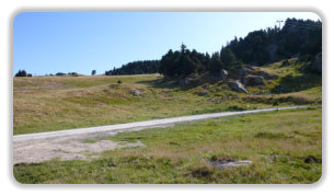 prairies à Roche-Béranger