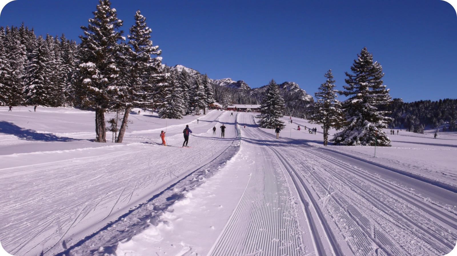 Ski De Fond Renseignement Plateau De L arselle ski de fond sur le plateau de l'Arselle à Chamrousse