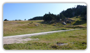 prairies à Roche-Béranger