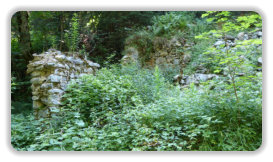 ruines du chalet de l'Oursière
