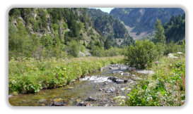 ruisseau du Doménon, en amont de la cascade de l'Oursière