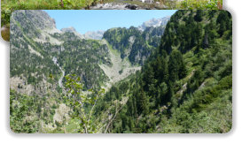 prairie de l'Oursière