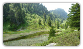 lac des Pourettes