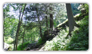 sentier d'arrivée à la cascade de l'Oursière