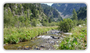 en amont de la cascade de l'Oursière : le Doménon qui l'alimente