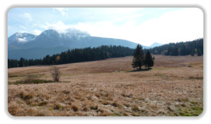 plateau de l'Arselle en automne