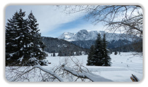 plateau de l'Arselle en hiver