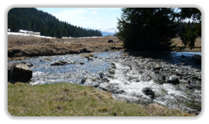 ruisseau, plateau de l'Arselle