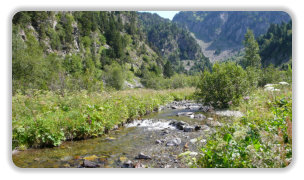 en amont de la cascade de l'Oursière : le Doménon qui l'alimente
