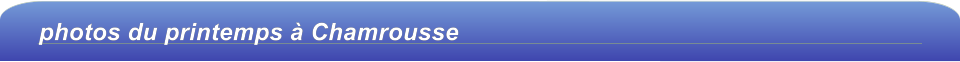 photos du printemps à Chamrousse