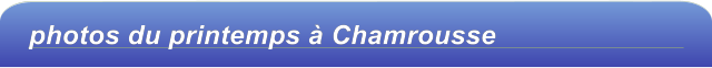 photos du printemps à Chamrousse