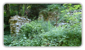 ruines du chalet de l'Oursière