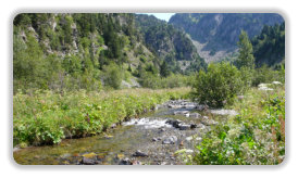 ruisseau du Doménon, en amont de la cascade de l'Oursière